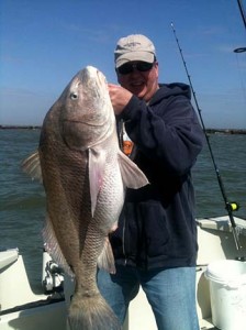 Redfish
