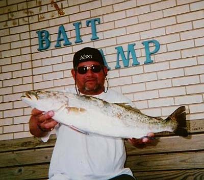 Speckled Trout