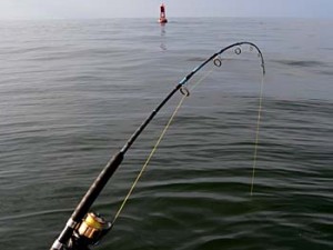 Bent fishing rod