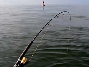 Galveston Fishing Guide